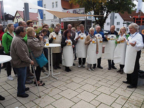 Fotos - verkaufsoffen in Nattheim 2016